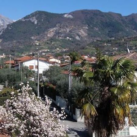 House Versilia Luca E Giada, 10 minuti da Forte dei Marmi Esterno foto